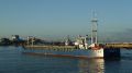 Danio - avant port - 26 juin 2012 (02).JPG